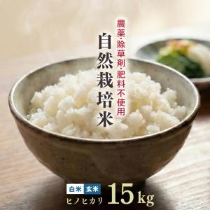 ヒノヒカリ 自然栽培米 10kg 白米 玄米 令和7年産 熊本県産 菊池 自社