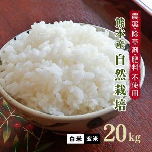 無肥料 自然栽培米 令和5年産 ヒノヒカリ 20kg 農薬化学肥料不使用 白米 玄米 放射能検査済み｜熊本四季農園Yahoo!店