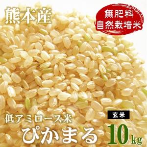 はぜかけ精米10kg (10分づき・白米) 天日干し・自然乾燥 石川ファーム