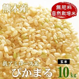 低アミロース米 ぴかまる 10kg 令和5年産 無肥料 自然栽培米 農薬化学肥料不使用 自社農園産 熊本県産 玄米 放射能検査済み｜white-farm