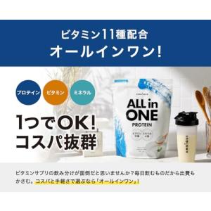 アンビーク オールインワン プロテイン ホエイ...の詳細画像2