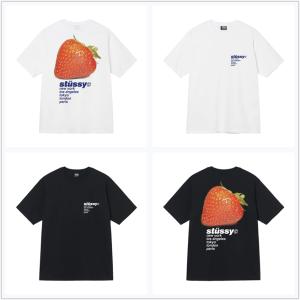 (ステューシー) STUSSY STRAWBERRY TEE 1904769 メンズ 半袖 Tシャツ...