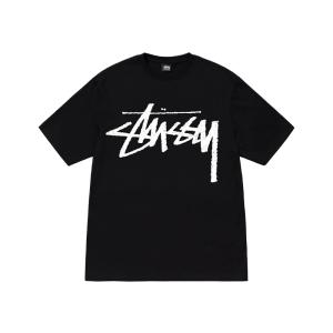 (ステューシー) STUSSY Big Sto...の詳細画像1