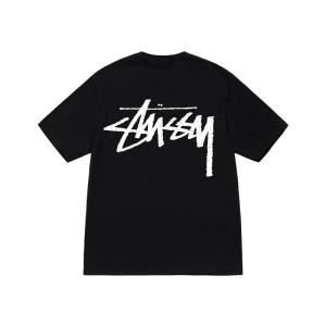 (ステューシー) STUSSY Big Sto...の詳細画像2