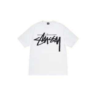 (ステューシー) STUSSY Big Sto...の詳細画像4