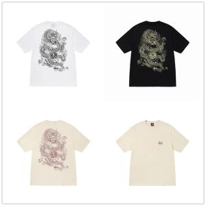 (ステューシー) STUSSY DRAGON TEE 1904847 メンズ 半袖 Tシャツ ストッ...