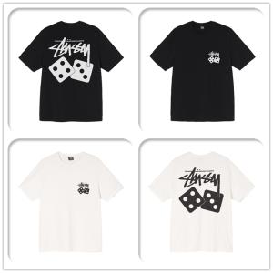 (ステューシー) STUSSY DICE PIGMENT DYED TEE 1904883 メンズ 半袖 Tシャツ ストック ロゴ stussy トップス コットンメンズ [並行輸入品]｜ホワイトウィンドショップ