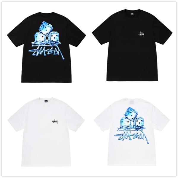 (ステューシー) STUSSY MELTED TEE 1904900 メンズ 半袖 Tシャツ ストッ...