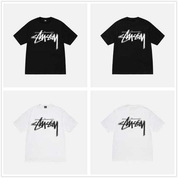 (ステューシー) STUSSY  DIZZY STOCK TEE 1904932 Tシャツ 半袖 並...