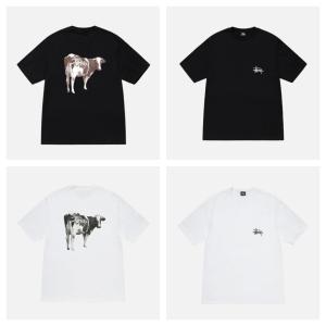 (ステューシー) STUSSY GRASSFED TEE 1905046 Tシャツ 半袖 並行輸入品