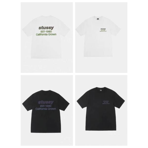 (ステューシー) STUSSY CALIFORNIA GROWN PIG.DYED TEE  190...