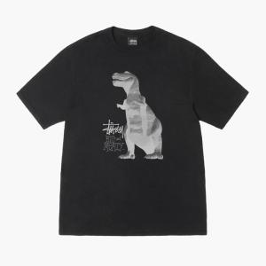 (ステューシー) STUSSY 25SS BI...の詳細画像1