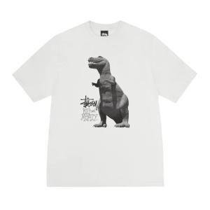 (ステューシー) STUSSY 25SS BI...の詳細画像5