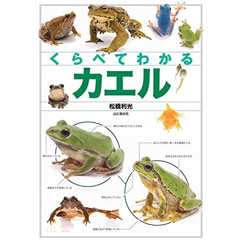 くらべてわかるカエル (くらべてわかる図鑑)