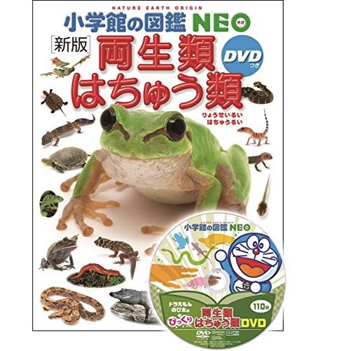 DVD付 新版 両生類・はちゅう類 (小学館の図鑑 NEO)