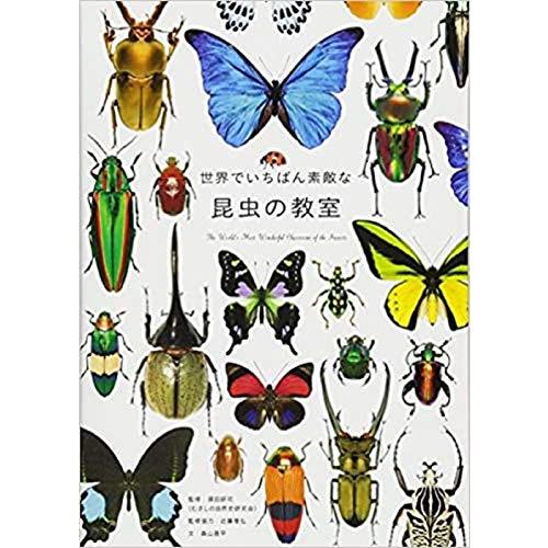 世界でいちばん素敵な昆虫の教室 (世界でいちばん素敵な教室シリーズ)