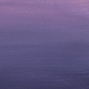 離婚伝説 (特典なし)の商品画像