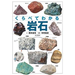 江戸時代中後期 神儒仏三教の諸相 日中比較の視点から / 宋