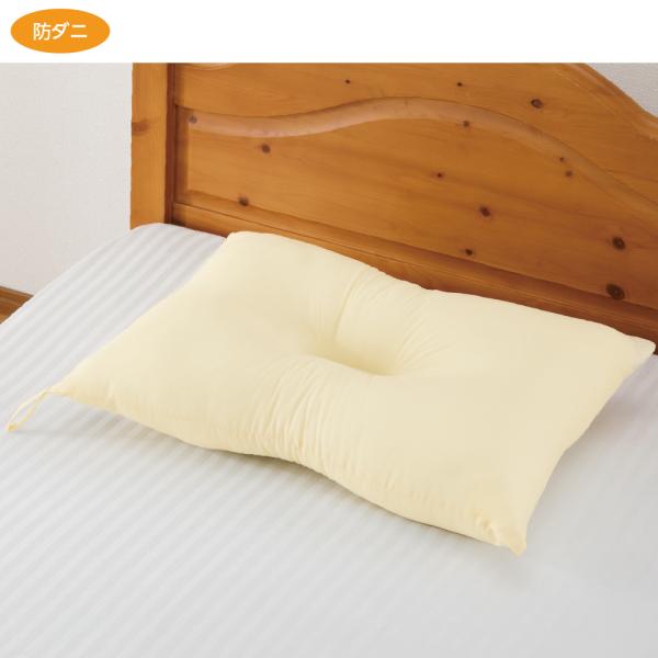 防ダニ抗菌防臭枕（干しヒモ付）89433洗えて乾きが早い枕　ケアファッション