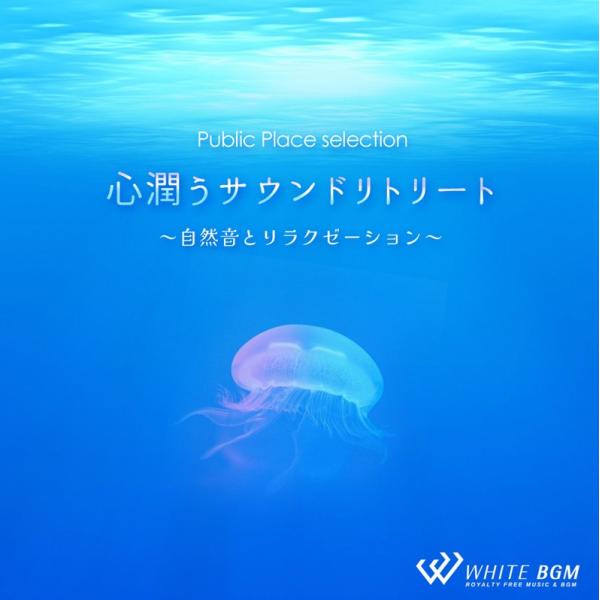 【試聴可能】著作権フリーCD BGM 店内 音楽　心潤うサウンドリトリート -自然音とリラクゼーショ...