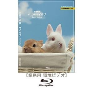 ブルーレイ　業務用鑑賞映像「バニーマイラブ」著作権フリー・商用可・空間演出・ハイビジョン・業務用ヒーリングビデオ