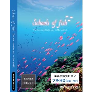 4K撮影　業務用鑑賞映像　ブルーレイ「Schools of fish −The sea connects you to the world.−」著作権フリー・商用可・空間演出・ハイビジョン