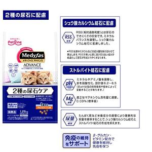 メディファス アドバンス 2種の尿石ケア 1歳...の詳細画像1