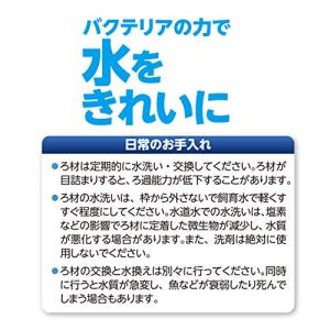 水作 エイトコア M 交換ろ材 3個入の詳細画像3