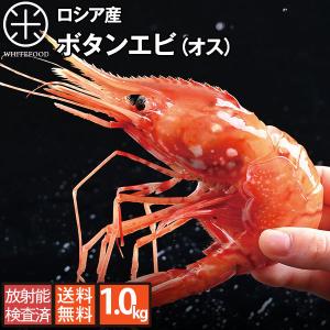 ロシア産 ボタンエビ 1kg 32-40尾