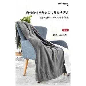 大判 ブランケット ひざ掛け マイクロファイバー...の商品画像