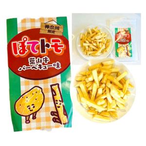 湘南しらすチップス100g【人気商品！】鎌倉・湘南の味わい【お