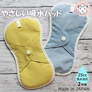 抗菌消臭 吸水パッド 2枚セット ちょっとモレ対策 G10-0304 布製 かわいい 尿漏れ 抗菌 消臭 防臭 防水 軽失禁 妊娠 出産 頻尿 冷え症 エコ 洗える 日本製