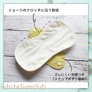 抗菌消臭 吸水パッド 2枚セット ちょっとモレ...の詳細画像3