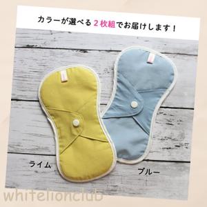 抗菌消臭 吸水パッド 2枚セット ちょっとモレ...の詳細画像5
