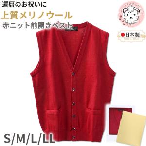 古希 喜寿 お祝い カシミヤ100% Vネック 前開き ニットベスト 紫 S/M/L