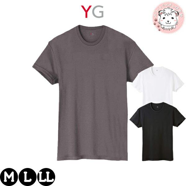 グンゼ ワイジー クルーネック Tシャツ ダブルホット 保温 抗菌防臭 綿100% M/L/LL |...