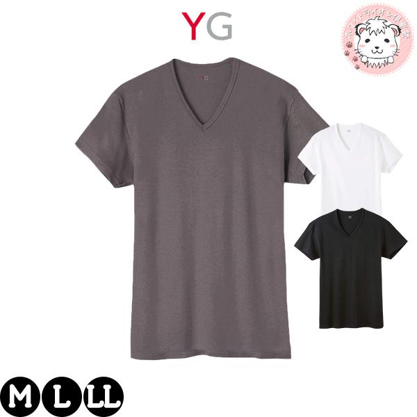 (アウトレット)Vネック Tシャツ メンズ グンゼ YG ワイジー ダブルホット 抗菌防臭 半袖 あ...