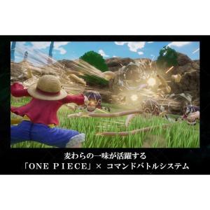 早期購入外付特典あり ONE PIECE OD...の詳細画像3