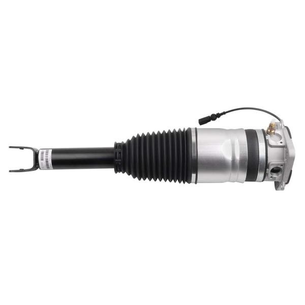 GDSMOTU Rear Right Air Suspension Strut Air Spring...