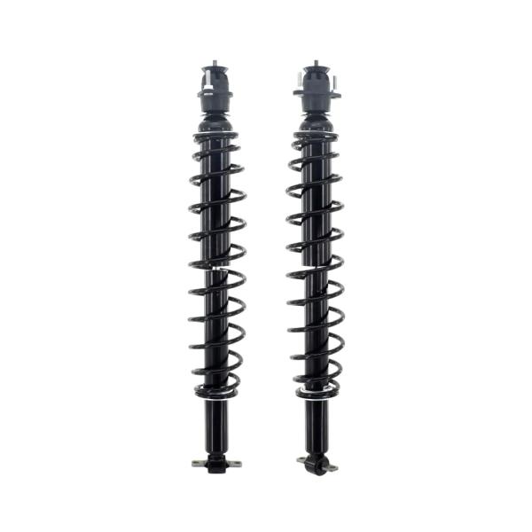 【並行輸入品】 PM Auto Pair of 2 Rear Shock Absorber Conv...