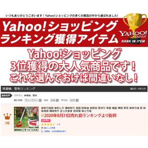草取り道具 草むしり 雑草取り 道具 除草機 ...の詳細画像3