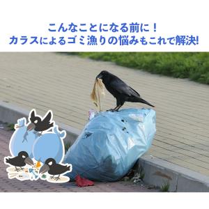 カラスよけネットのランキングtop100 人気売れ筋ランキング Yahoo ショッピング