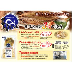 干物セット 8尾 【骨まで食べられる】 まると...の詳細画像2