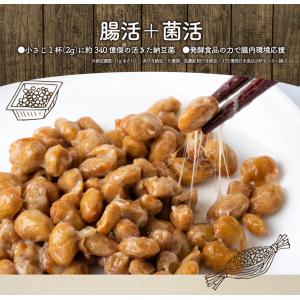 粉納豆 納豆 ドライ納豆 乾燥納豆 納豆菌 納...の詳細画像3