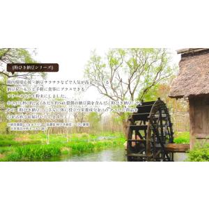 粉納豆 【玉ねぎの皮入り】 お試し70g 1袋...の詳細画像2