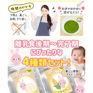 離乳食 7ヶ月 8ヶ月 9ヶ月 ベビーフード ...の詳細画像3