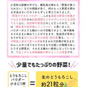 離乳食 7ヶ月 8ヶ月 9ヶ月 ベビーフード ...の詳細画像5