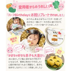 離乳食 ベビーフード セット 5ヶ月 野菜パウ...の詳細画像1