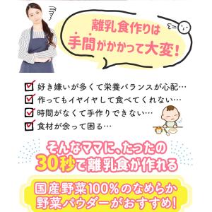 離乳食 ベビーフード セット 5ヶ月 野菜パウ...の詳細画像2