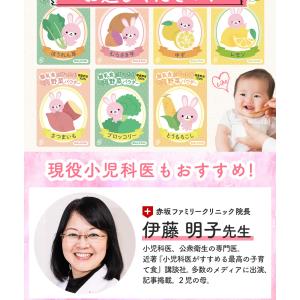 離乳食 ベビーフード セット 5ヶ月 野菜パウ...の詳細画像4